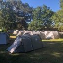 Photos from Bradford South Scouts's postBlackhills is a hive of activity amid gl...
