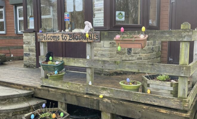 Day 2 - Blackhills Virtual Easter Egg Hunt
 Here are the Bunnies at Reception!
 ...