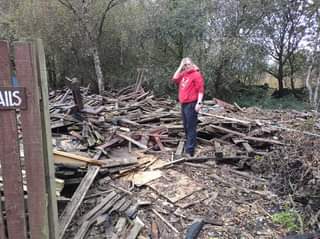 Another project started today ahead of bonfire night! 
 The wood pile needs clea...