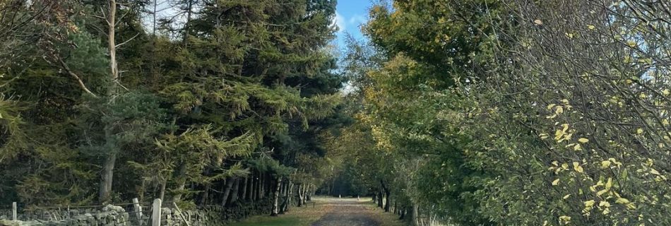 A lovely sunny Autumns day at Blackhills! 
 Just delivers a van full of pallets ...