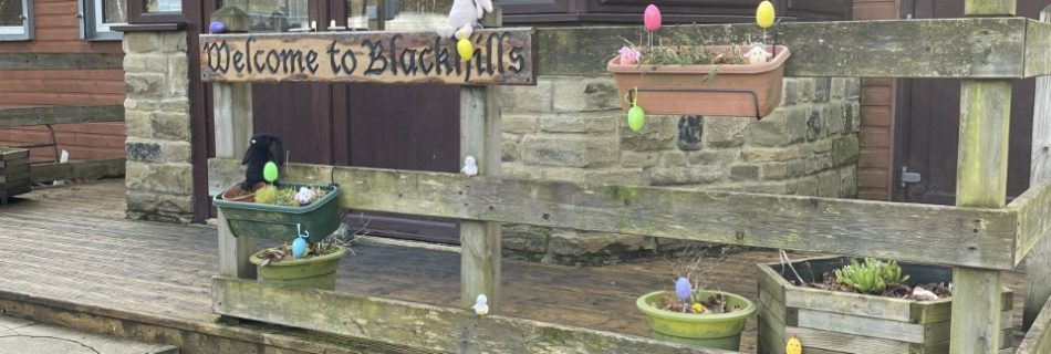 Day 2 - Blackhills Virtual Easter Egg Hunt
 Here are the Bunnies at Reception!
 ...