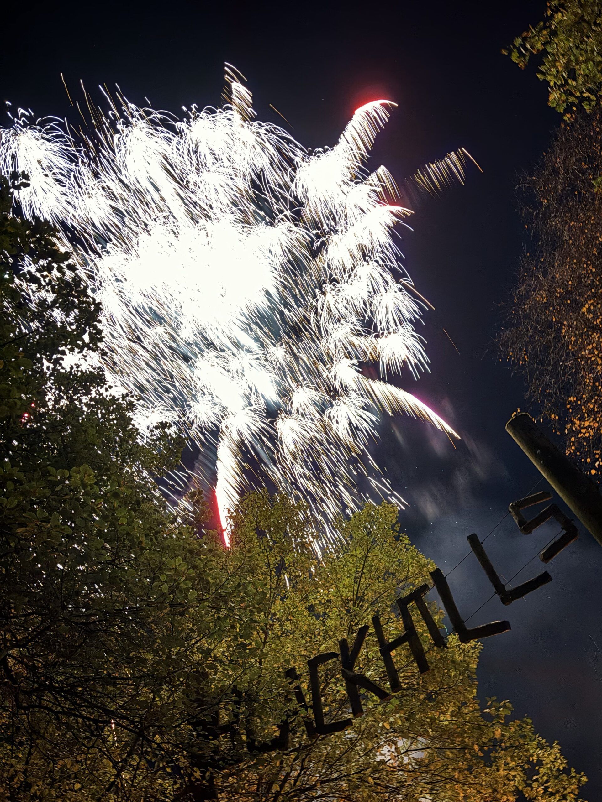 Bonfire 25